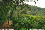 Los Tarrales trail