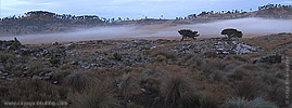 Parque Regional Municipal Todos Santos Cuchumat�n